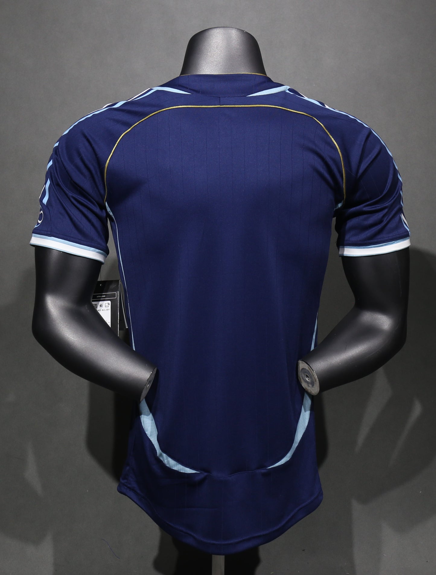 Argentina Alternativa 2006