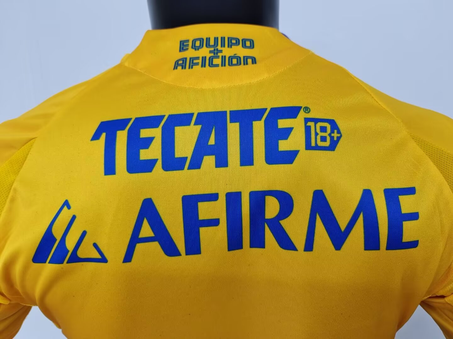 Tigres Home 24/25