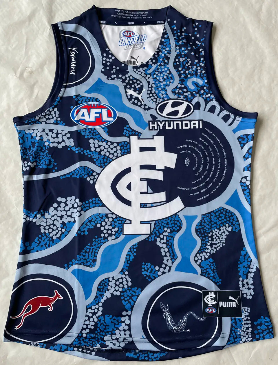 2022/23 AFL Carlton